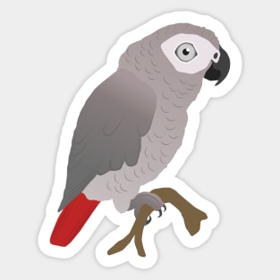 Cute African grey parrot vector Sticker